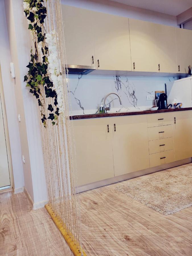 Vega Apartment By Moonlight Mamaia Exterior photo